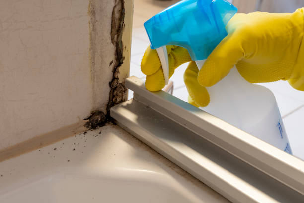 Best Asbestos and Lead Testing During Mold Inspection  in Annetta, TX