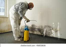 Best Mold Remediation for Healthcare Facilities  in Annetta, TX